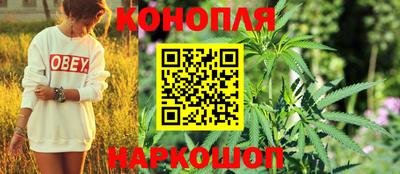 таблы Гусев