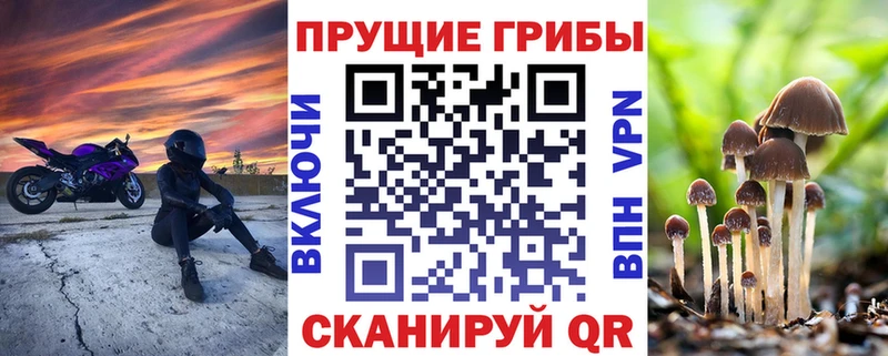 нарко площадка как зайти  Армавир  Галлюциногенные грибы прущие грибы  цена наркотик 